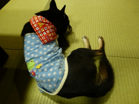 きくのや23