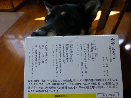 阪神タイガースカレー2