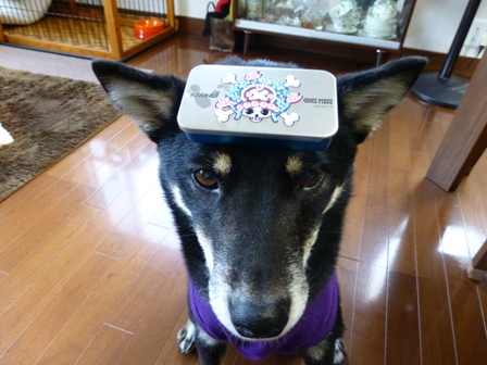 チョッパー缶7