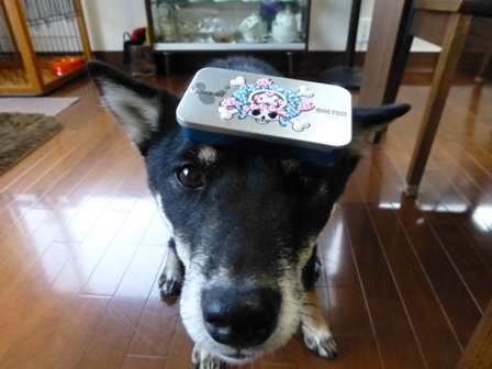 チョッパー缶8