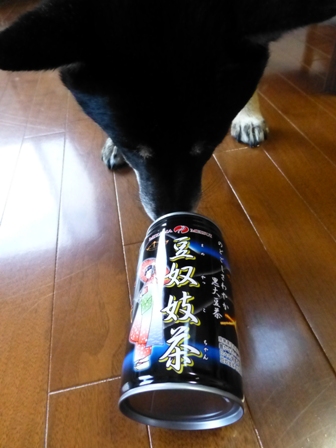 豆奴妓茶4