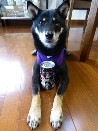 豆奴妓茶2