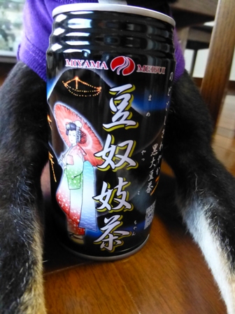 豆奴妓茶3