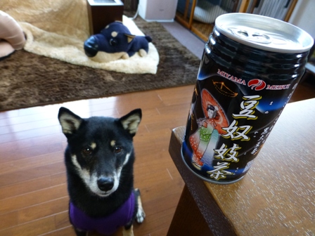 豆奴妓茶1