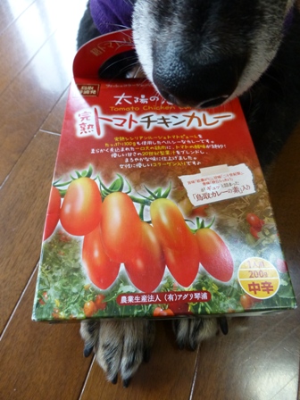 ユンママさん4
