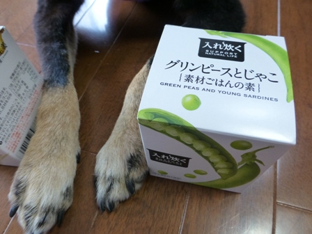 ユンママさん15
