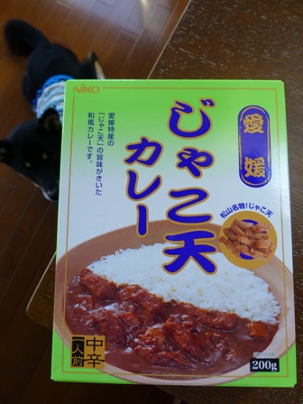 じゃこ天カレー2