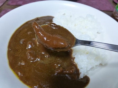 じゃこ天カレー8