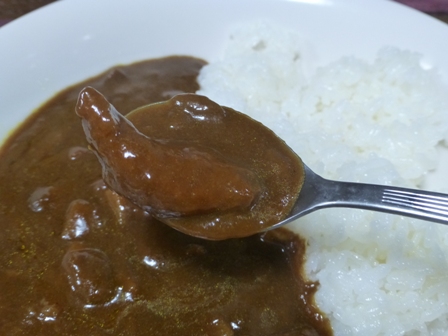 じゃこ天カレー7