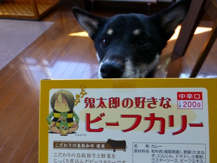 鬼太郎カリー1
