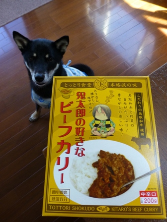 鬼太郎カリー2