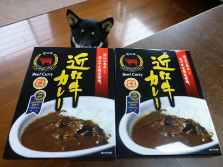 いのうえ近江牛カレー1