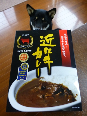 いのうえ近江牛カレー2