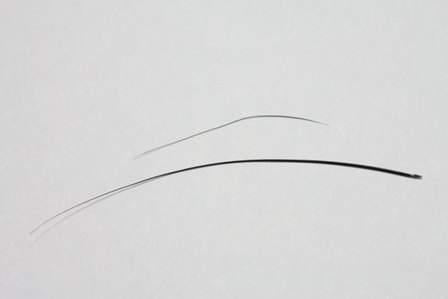ひげ1