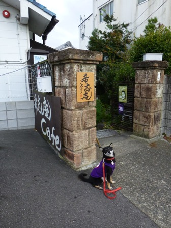 希志庵2