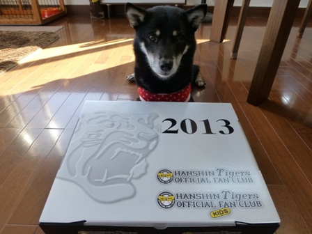 2013年記念品2