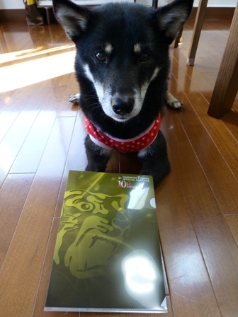 2013年記念品5