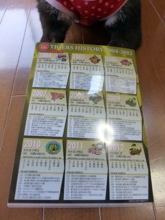 2013年記念品6