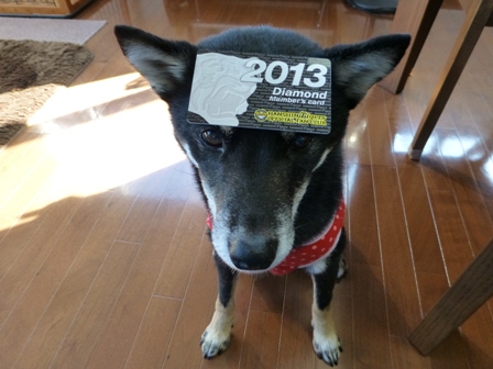 2013年記念品7