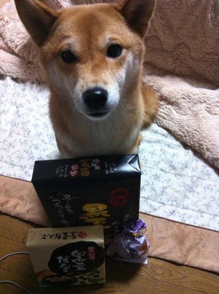 クレアと黒豆だんご