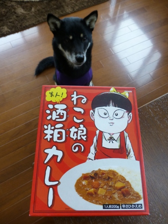 ねこ娘の美人!酒粕カレー1