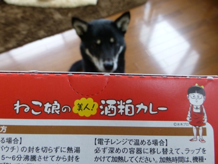 ねこ娘の美人!酒粕カレー2