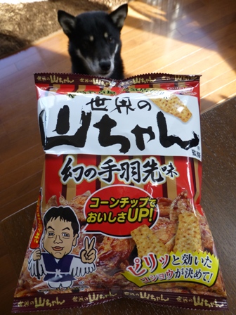 世界の山ちゃんチップス1