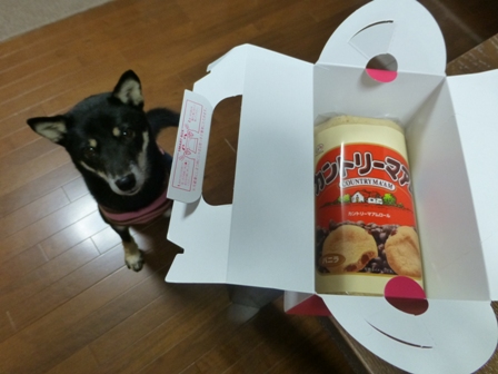 カントリーマアムロール8