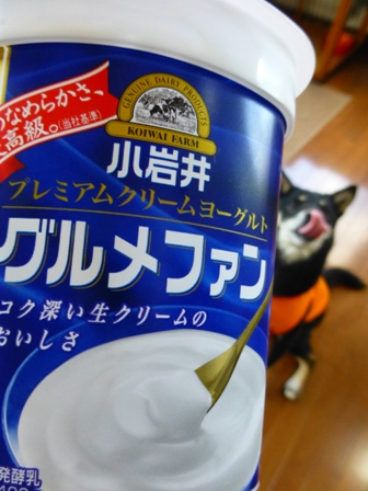 グルメファン