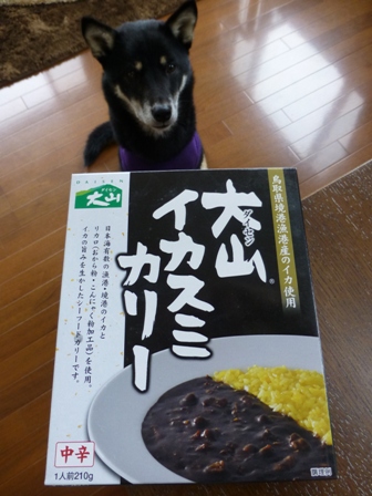 イカ墨カレー1
