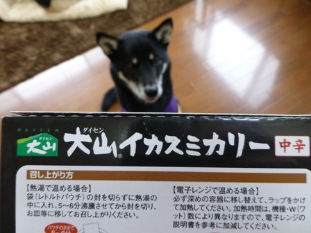 イカ墨カレー2