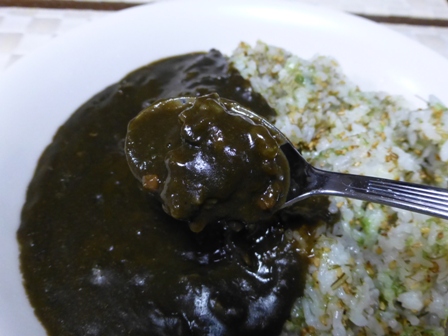 イカ墨カレー7