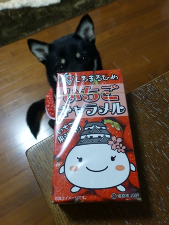 駅そば15