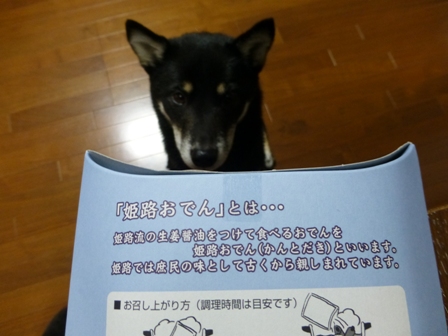 駅そば19