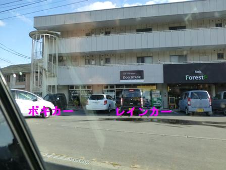 だんべえそば18