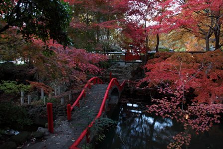 恵那ラヂウム温泉館1