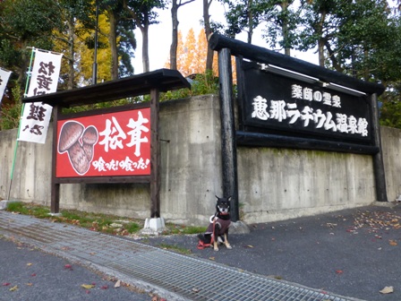 恵那ラヂウム温泉館11