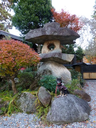 恵那ラヂウム温泉館12