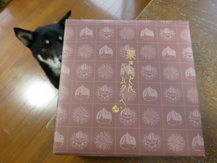 三色旅行お土産2