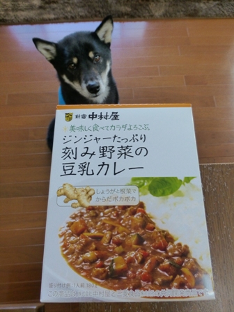豆乳カレー1