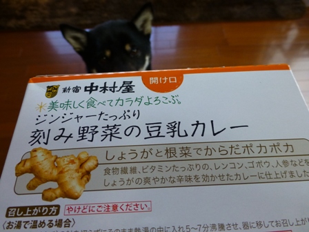 豆乳カレー2