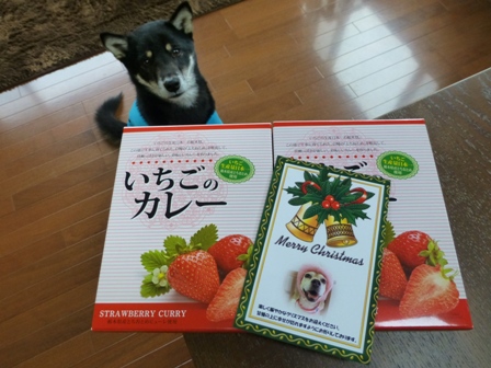 メリークリスマス4