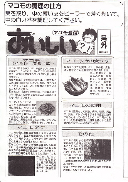 ま・こもちゃんカレー2