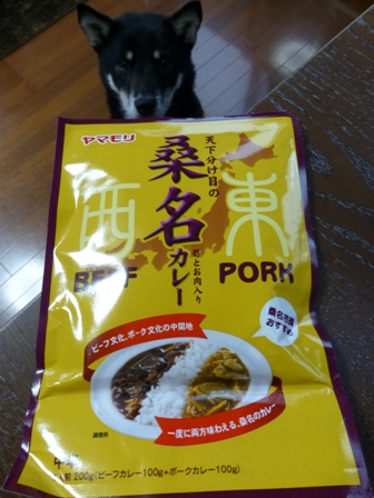 天下分け目の桑名カレー1