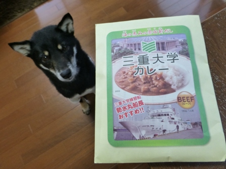 三重大学カレー1