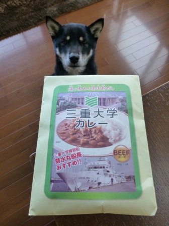 三重大学カレー2