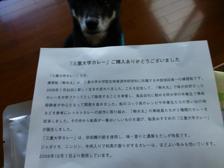 三重大学カレー4