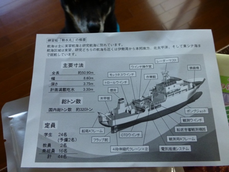 三重大学カレー5