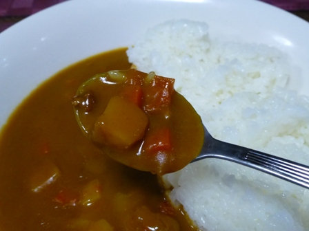 三重大学カレー8