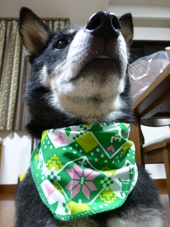 1130病院15
